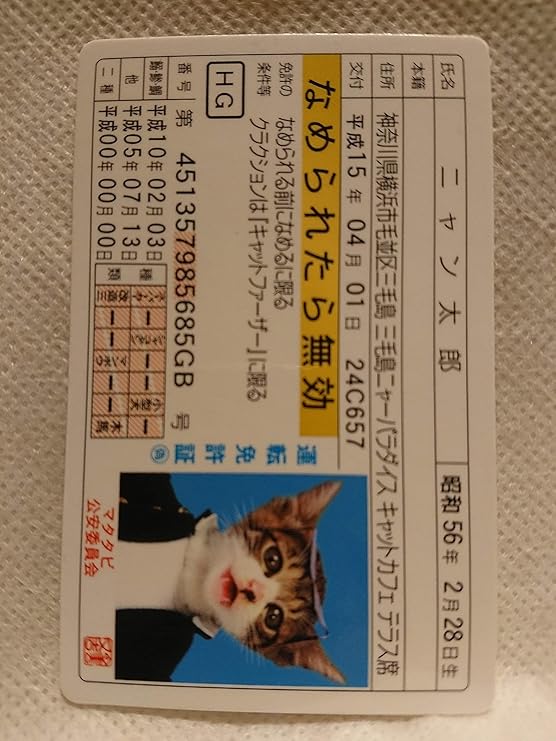 Amazon なめ猫 免許証 パロディーカード なめんなよ ニャン太郎 カードゲーム トランプ おもちゃ