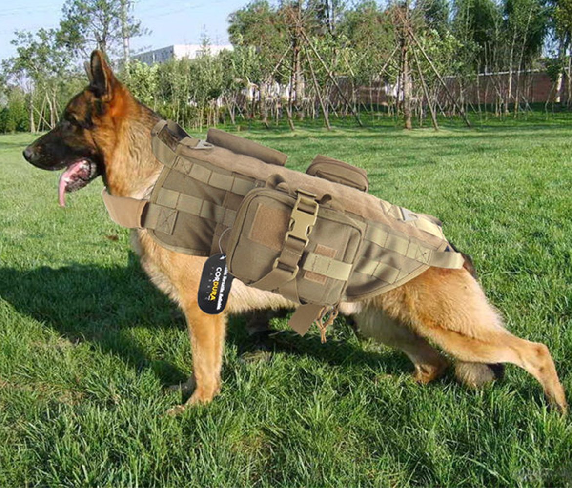 Tactical Training Molle Vest Dog Harness Me vrogue.co