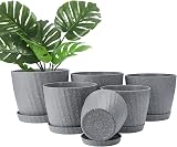 CSYY Plant Pots Indoor 6-Pack 19/17.5/16.5/15.5/14/11.5cm Self Watering Grey