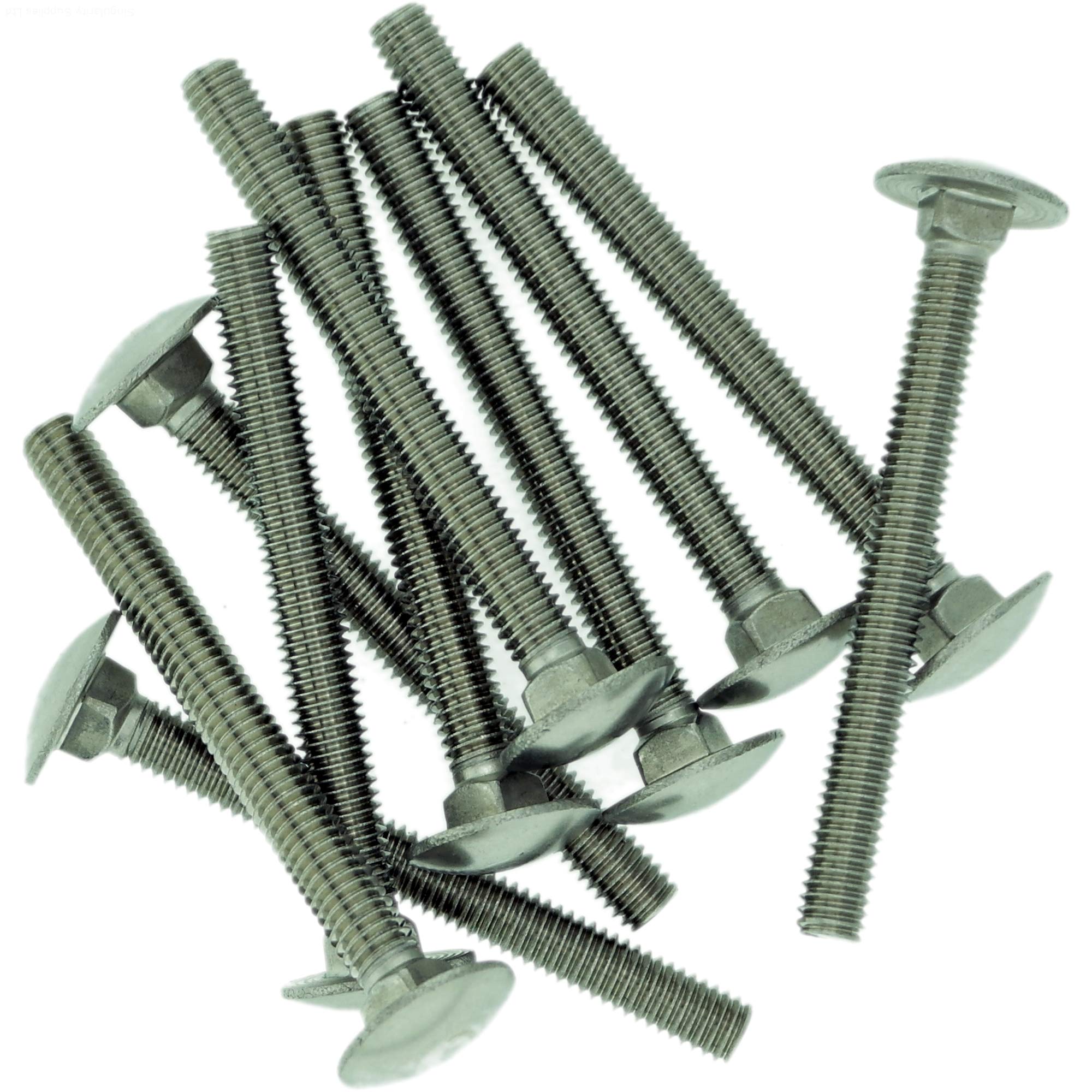 M6 (6mm x 25mm) Cup Square Carriage Bolt (Fully Threaded) - Stainless Steel (A2) (Pack of 10)