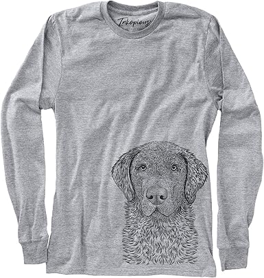 labrador t shirt for dogs