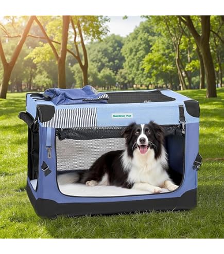 EliteField 3-Door Soft Dog Crate - Light Gray 36" With Carrying Bag & Fleece Bed (2 Year Warranty)