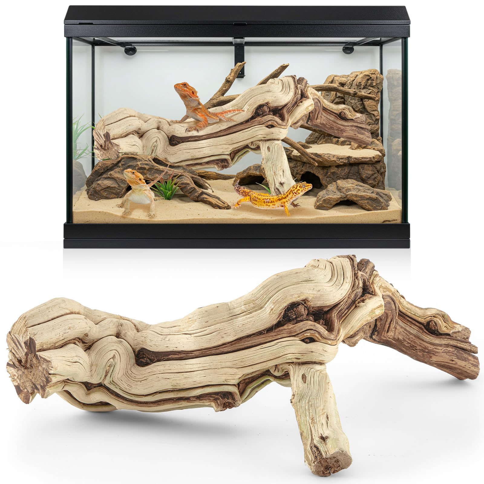 Photo 1 of Janinka 10-12" Length Large Wood Reptile Branch for Bearded Dragon Driftwood Reptile Climbing Habitat Decoration for Terrarium Tree Trunk Ornament Gecko Frog Chameleon Spider