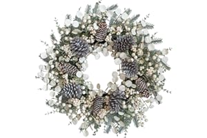 Egolot 24 Inch Winter Christmas Wreath for Front Door with White Berries, Winter Soft Touch White Boxwood Leaves Berries Wrea