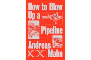 How to Blow Up a Pipeline