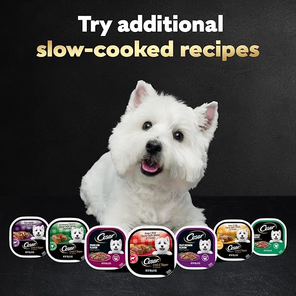 CESAR LOAF IN SAUCE WET DOG FOOD ROTISSERIE CHICKEN, FILET MIGNON, ANGUS BEEF, AND HAM & EGG FLAVORS VARIETY PACK, WET FOOD FOR DOGS, 3.5 OZ EASY PEEL TRAYS, 24 COUNT