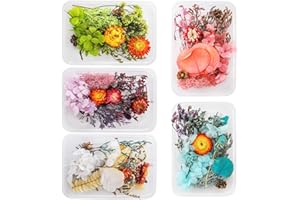 Cedilis 5 Box Assorted Real Natural Dried Flowers for Resin, Colorful Dried Flowers Herbs Kit for Art Craft, Making Soap and Candle Making, Scrapbooking DIY(Blue, Purple, Pink, Green, White)