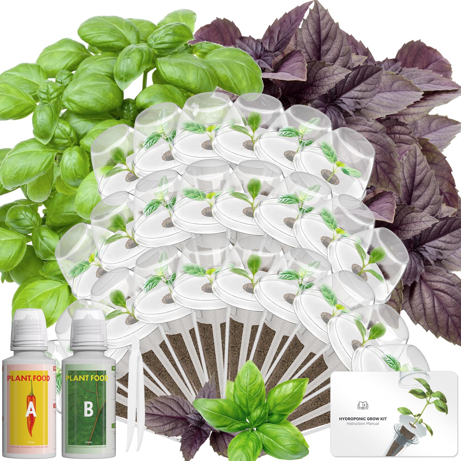 Hydroponics Seed Pod with Genovese Basil & Purple