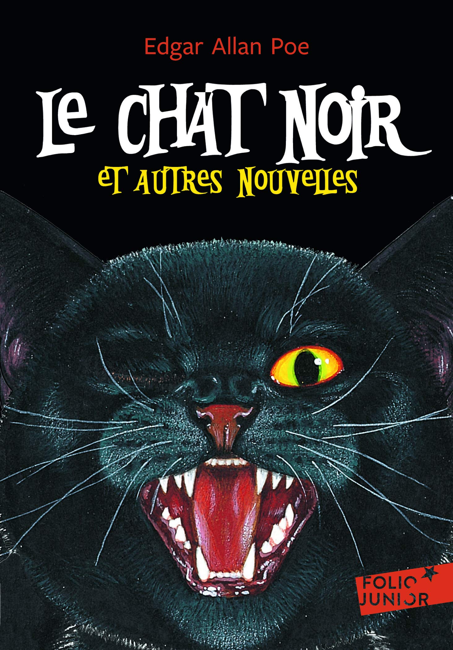 Chat Noir Et Autr Nouv Folio Junior English And French