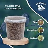 Walter’s Meal Worms 1L Tub - Dried Mealworms for Birds, Premium Protein view 2