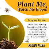Revive a Bee Gift Box 2x Bee Revival Keyrings Refill Seed Paper Gift For Eco view 2