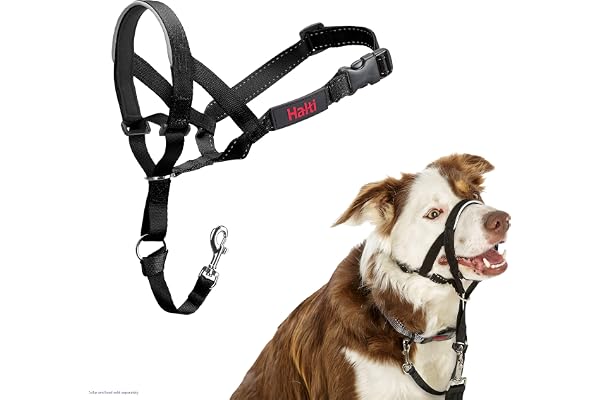 Halti Headcollar - Stop Your Dog Pulling on the Leash. Adjustable, Reflective and Lightweight, with Padded Nose Band. Dog Tra