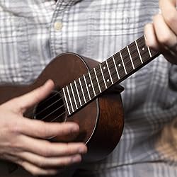 Martin M630 Baritone Ukulele Strings