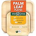 ECO SOUL Compostable 7 & 10 Inch Palm Leaf Square Plates (50 Count) Like Bamboo Plates | Biodegradable | Eco-Friendly, Microwave & Oven Safe - Party Pack
