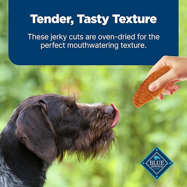 BLUE BUFFALO NUDGES JERKY CUTS DOG TREATS, MADE IN THE USA WITH NATURAL INGREDIENTS, CHICKEN & DUCK, 16-OZ BAG