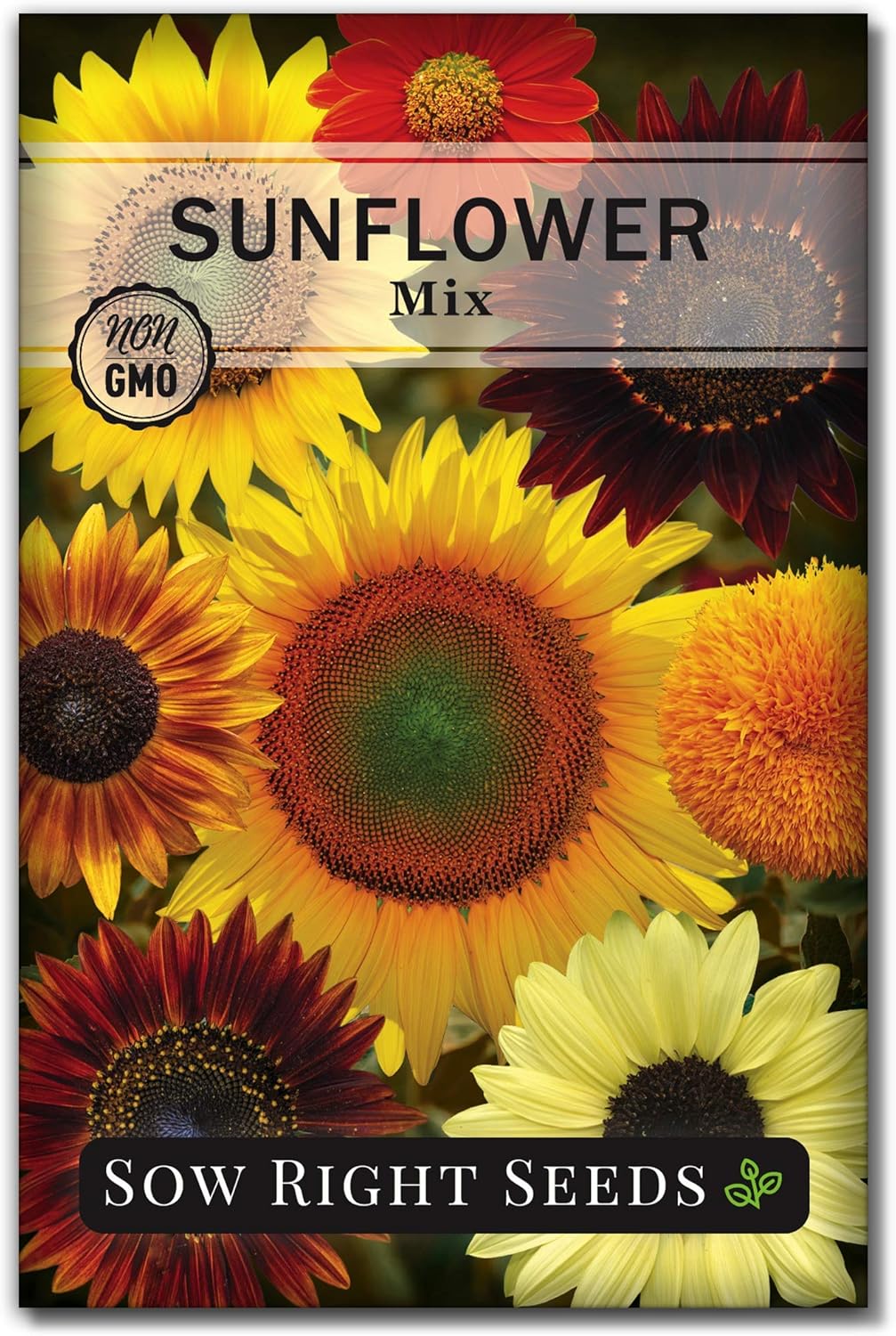 Sow Right Seeds - Large Full-Color Packet of Mixed Sunflower Seed to Plant - Non-GMO Heirloom - Instructions for Planting - Wonderful Gardening Gift (1)