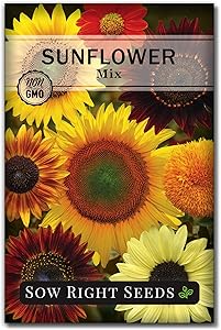 Sow Right Seeds - Large Full-Color Packet of Mixed Sunflower Seed to Plant - Non-GMO Heirloom - Instructions for Planting - Wonderful Gardening Gift (1)
