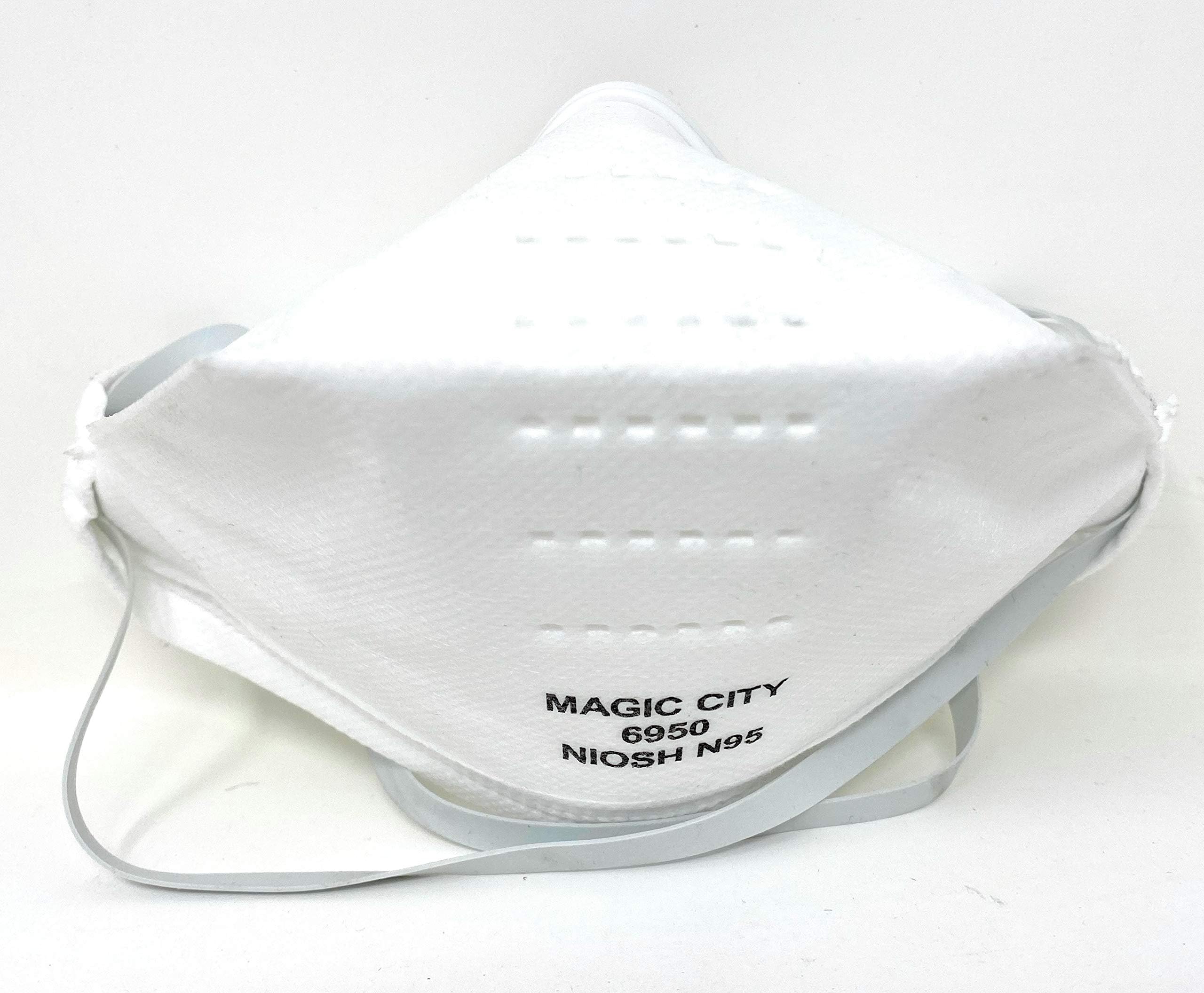 NIOSH Approved N95 Fold Flat Mask Respirator, 2 Masks (Individually packed)