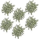 LIZLOVESS 6 Inch Sage Curly Bows for Gift Wrapping Set of 6, Self Adhesive Bows Green Gift Bows for Presents, Satin Ribbon Bows for Birthday, Wedding, Christmas, Bridal Shower, Gift Wrap Accessory
