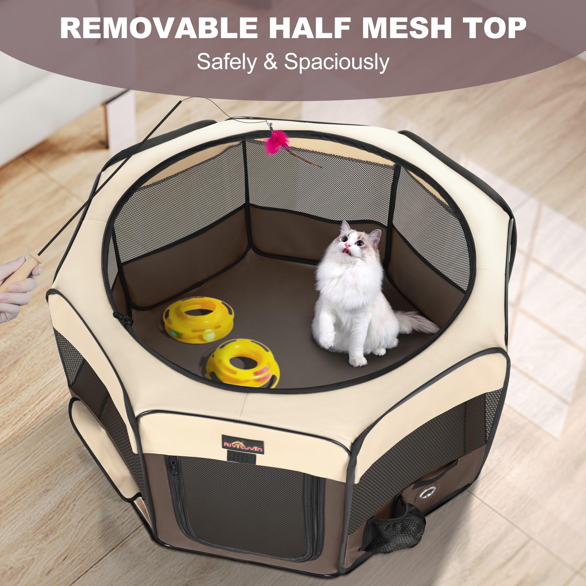 View 3