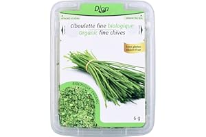 Dion Herbs & Spices/Organic Fine Chives / 6g