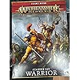 Games Workshop Age of Sigmar: Warrior Box Set