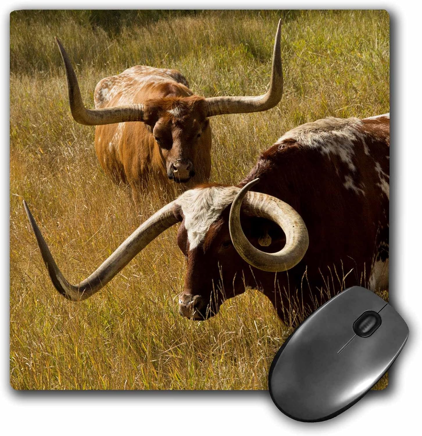 3dRose mp_279432_1 8/8-Inch "Texas Longhorn/Custer/South Dakota/USA" Mouse Pad - Multi-Colour