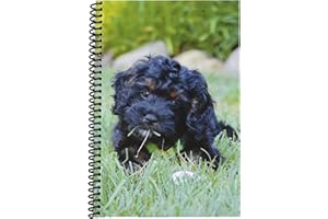 The Superior Register's Premium Check Book Register & Debit Card Ledger Notebook - Checking Account Register, Business Ledger, Cash Log & Expense Tracker - Standard Edition - 1 Pc, Puppy