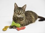 YEOWWW Organic Catnip Fish Stinkies Sardines Cat Toys Pack of 3 7.5cm view 6