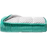 ALANSMA Reversible Weighted Blanket for All Season, Luxury Velvet, Warm and Cool, Adult 15Lb Weighted Blanket, Enjoy Sleeping