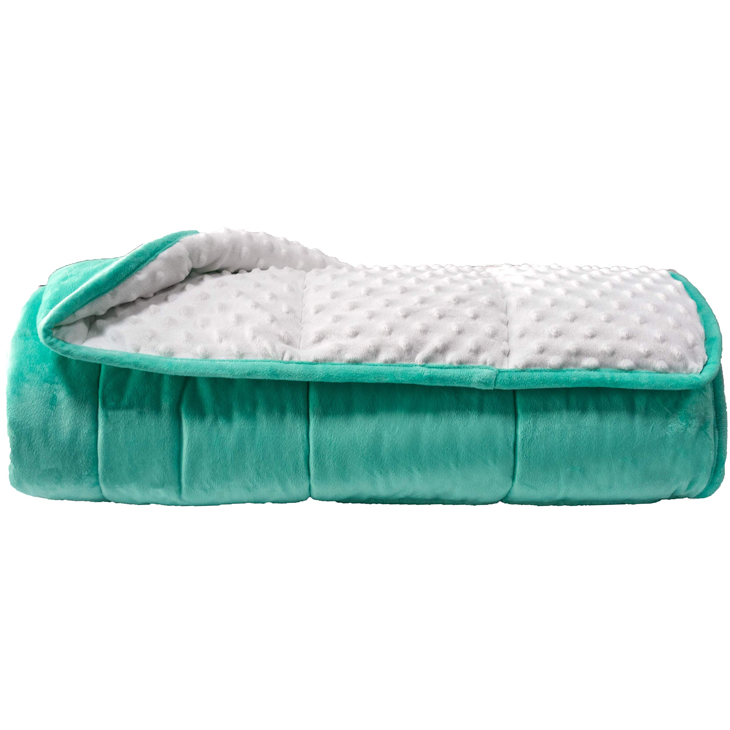 Photo 1 of ALANSMA Reversible Weighted Blanket for All Season, Luxury Velvet, Warm and Cool, Adult 10Lb Weighted Blanket, Enjoy Sleeping Anywhere(Green, 48''x72''10lbs)