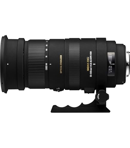 SIGMA 50-500mm APO DG OS キャノン用 APO 50-500mm F4.5-6.3 DG OS HSM | レンズ | 製品 | Sigma