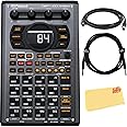 Roland SP-404MKII Creative Sampler and Effector Bundle with MIDI Cable, Instrument Cable, and Austin Bazaar Polishing Cloth