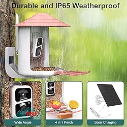 birdsnap® TUC- Smart Bird Feeder with Camera+Solar