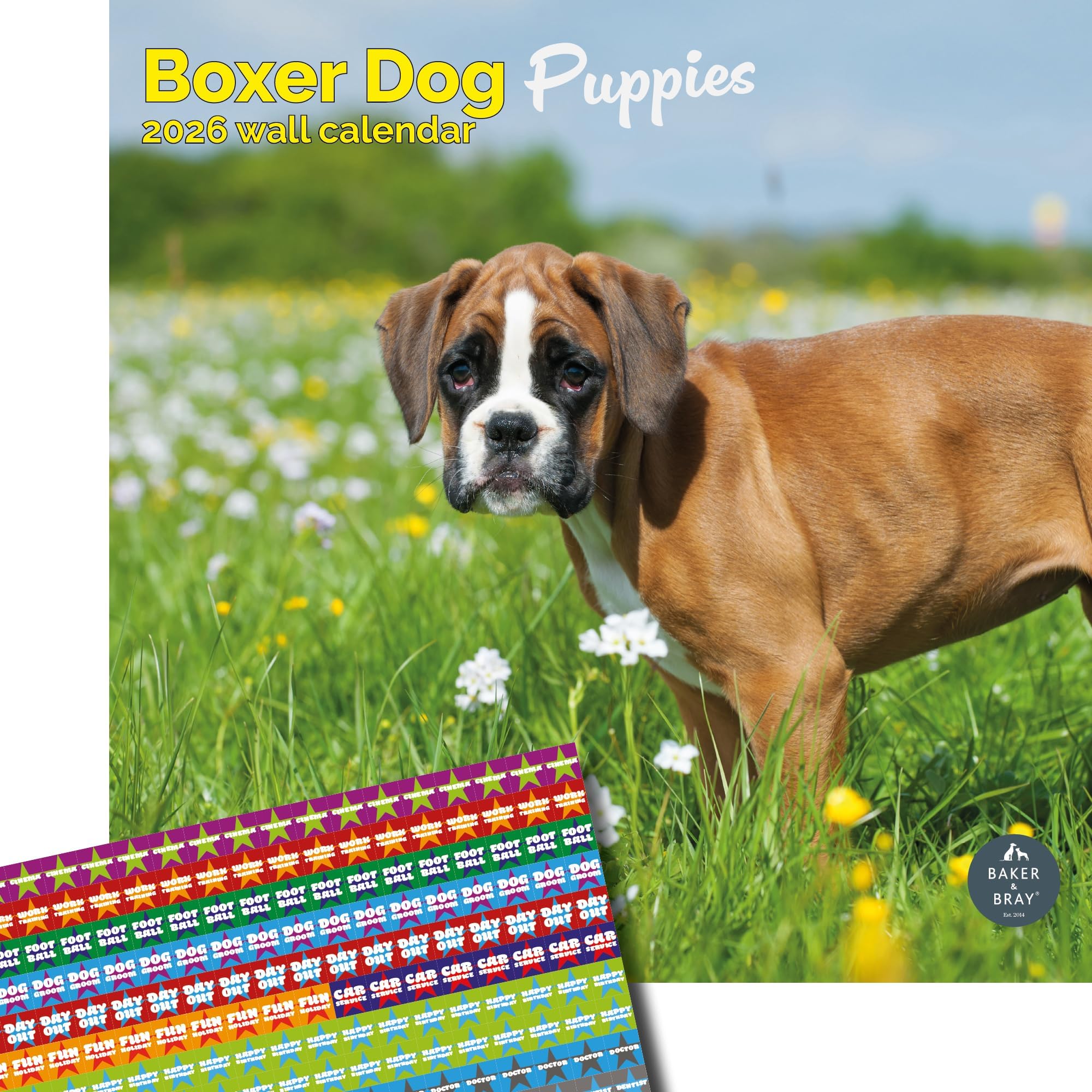 Baker and Bray Boxer Dog Puppies Calendar 2026, Large Square Wall Calendar With Organisational Stickers, 16 Month, Boxer Dog Puppies Gift Dog Calendar
