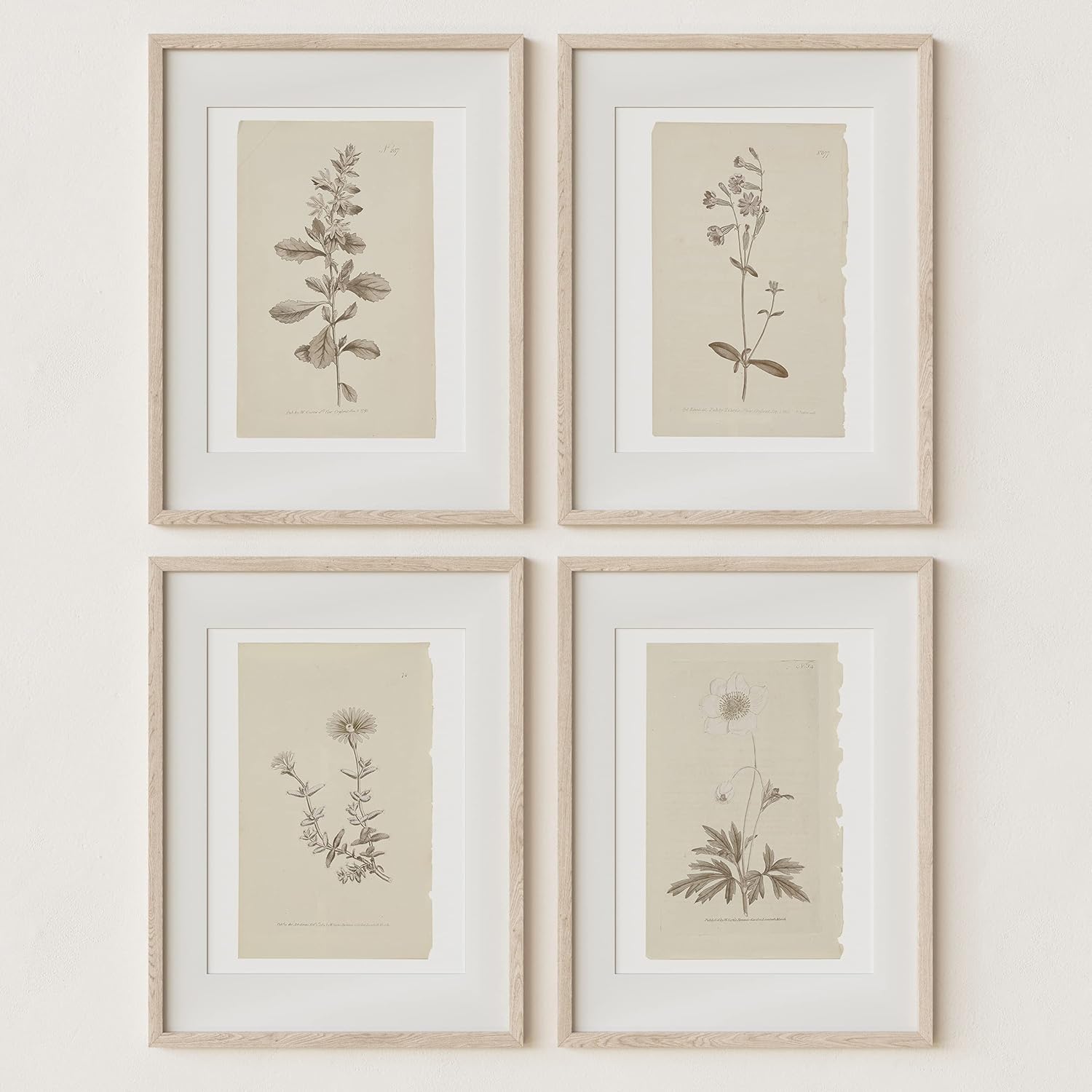 Wall Décor - Wall Art Botanical Plant Prints | Vintage Flower Boho Minimalist Floral Artwork Neutral Decor for Bedroom, Living Room, Bathroom, Home or Office Walls | Set of 4 UNFRAMED Pictures | Overall Size (11 x 14)