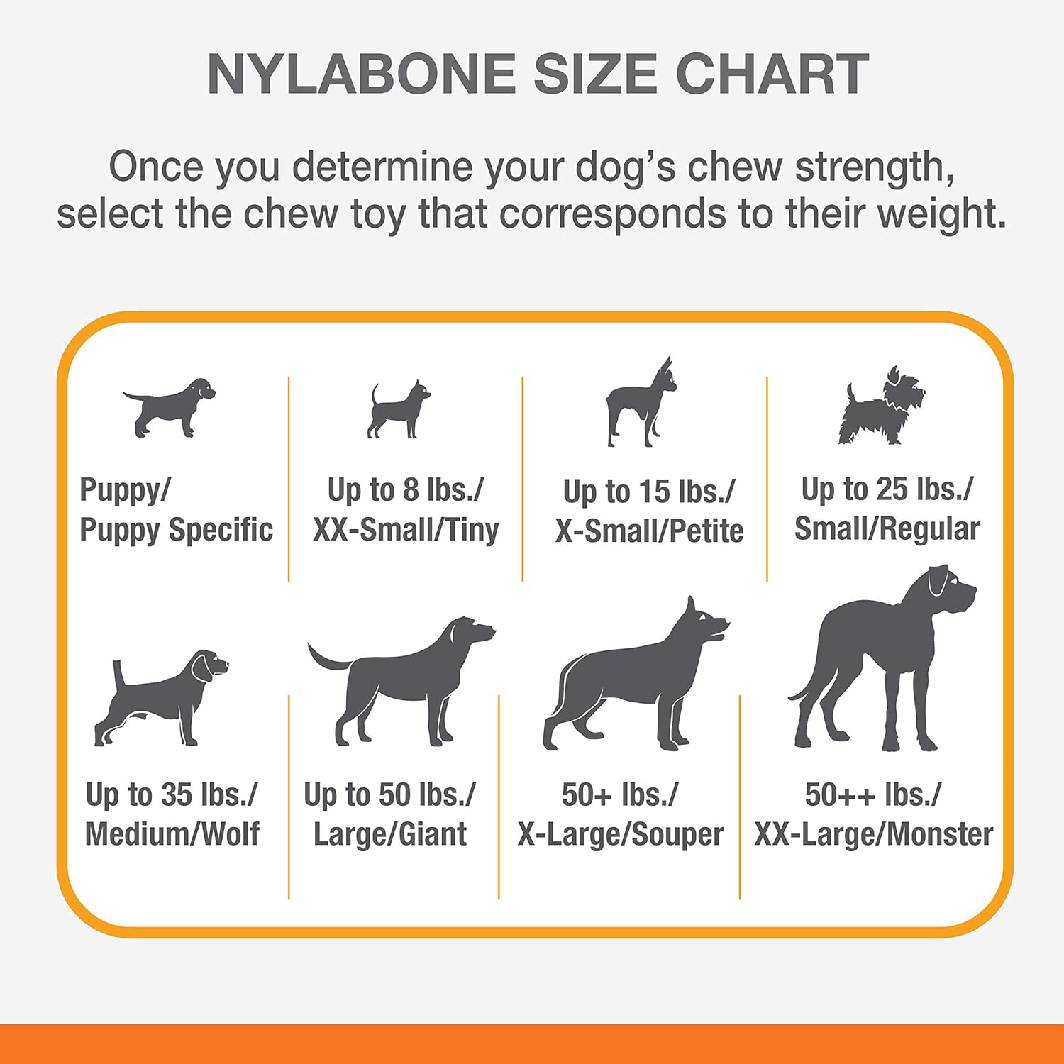 Pet Supplies : Pet Chew Toys : Nylabone Just for Puppies Extra Small Pacifier Bone Puppy Dog Teething Chew Toy : 