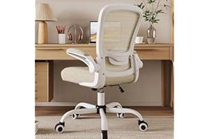 Mimoglad Home Office Chair, High Back Desk Chair, Ergonomic Mesh Computer Chair with Adjustable Lumbar Support and Thickened 