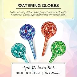 Blazin' Bison Indoor Plant Watering Globes