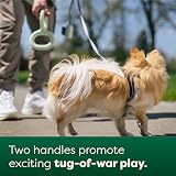 Earth Rated Tug of War Dog Toy Small Green Interactive Pull Toy view 4