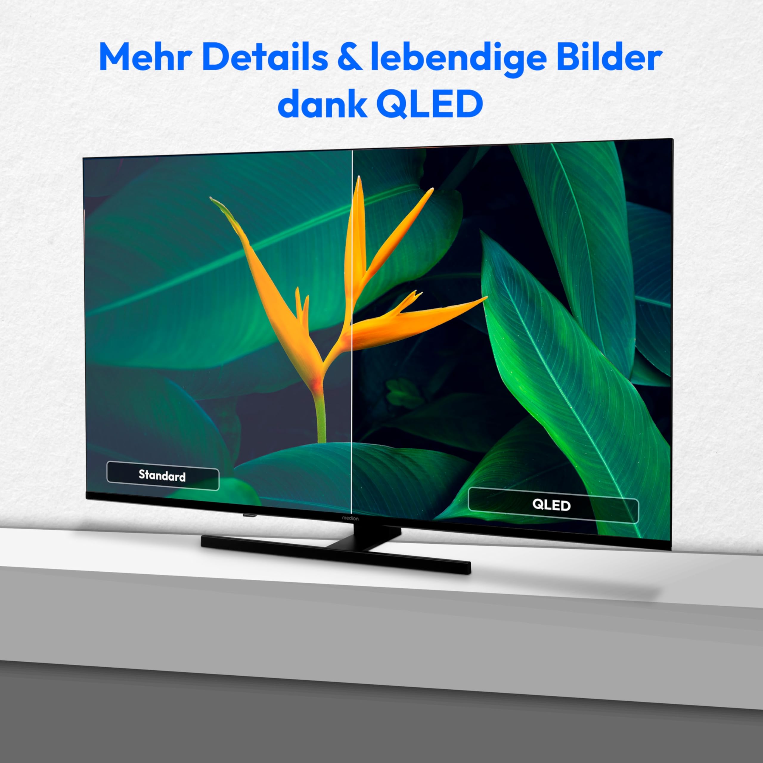 MEDION 125,7 cm (50 Zoll) QLED Fernseher (Fire TV, 4K Smart TV, Dolby Vision HDR, Dolby Atmos, Prime Video, Bluetooth, DVB-T2, MD 850800) 4