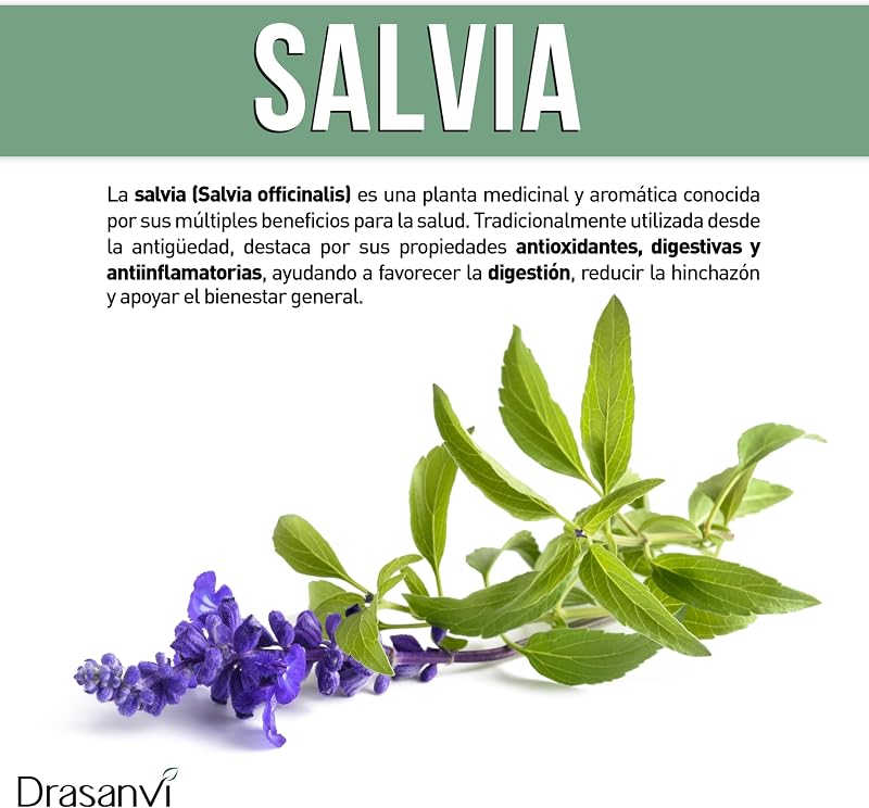 Sage 350mg Extrato Concentrado 5:1 Drasanvi em 30 cápsulas sem glúten