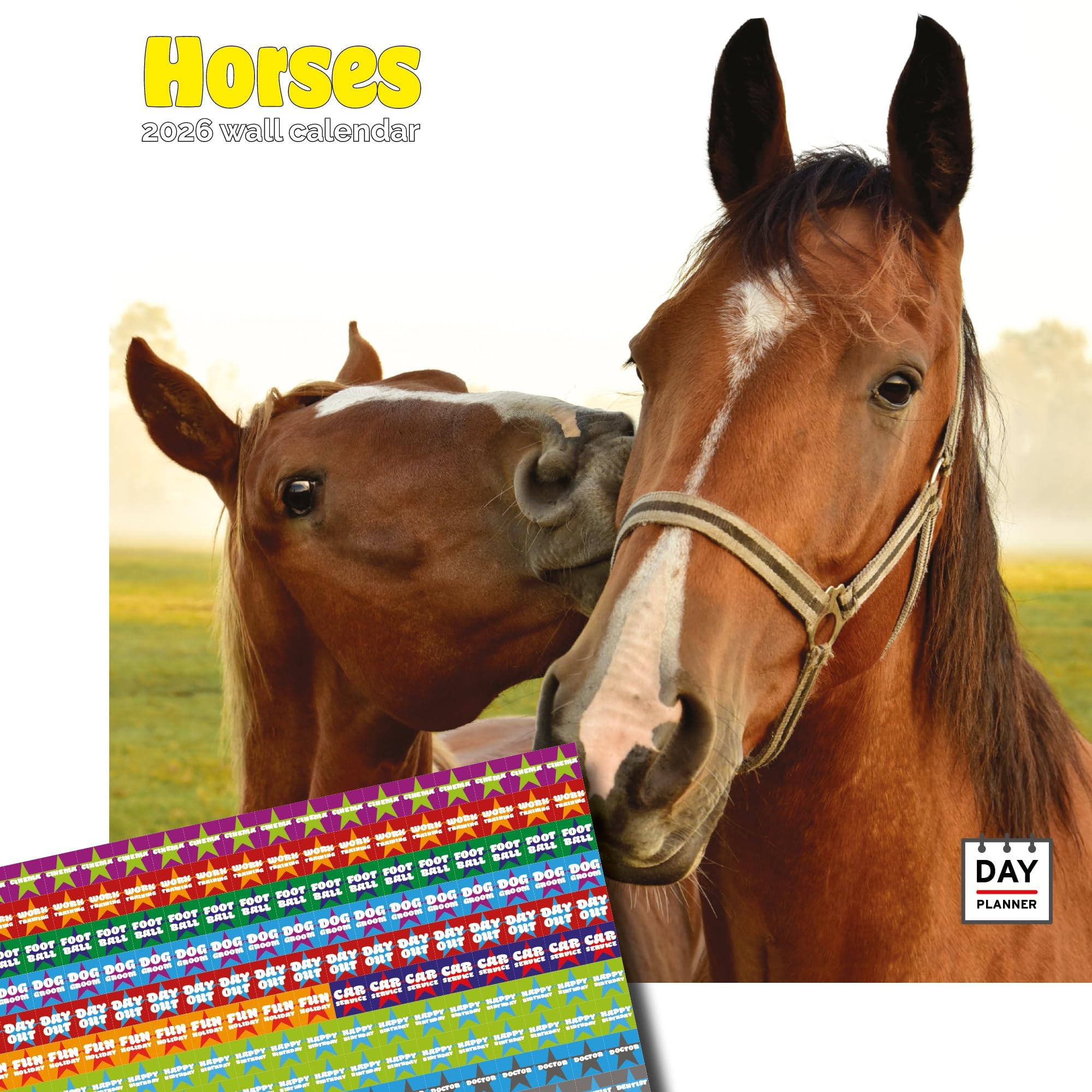 Dayplanner Publishing Horses Calendar 2026, Large Square Wall Calendar With Organisational Stickers, 16 Month, Horses Gift Animal Calendar