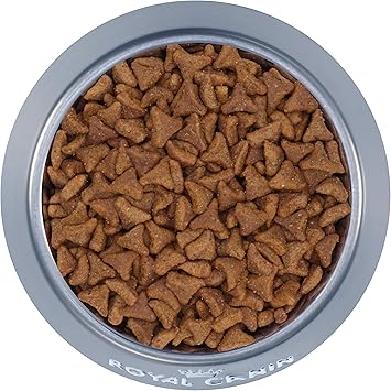 royal canin intense hairball