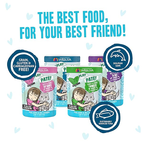 WERUVA B.F.F. PLAY – BEST FELINE FRIEND PATÉ LOVERS, AW YEAH!, PATÉ JAMBOREE! VARIETY PACK, 3OZ POUCH (PACK OF 12)