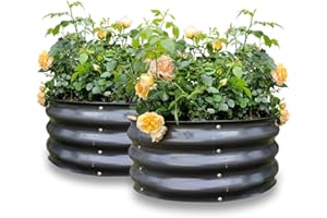 Gardmax 2 Pack 2x2x1FT Galvanized Round Raised Garden Bed Kit, Metal Planter Boxes Outdoor with Easy Assembly, Large Garden B