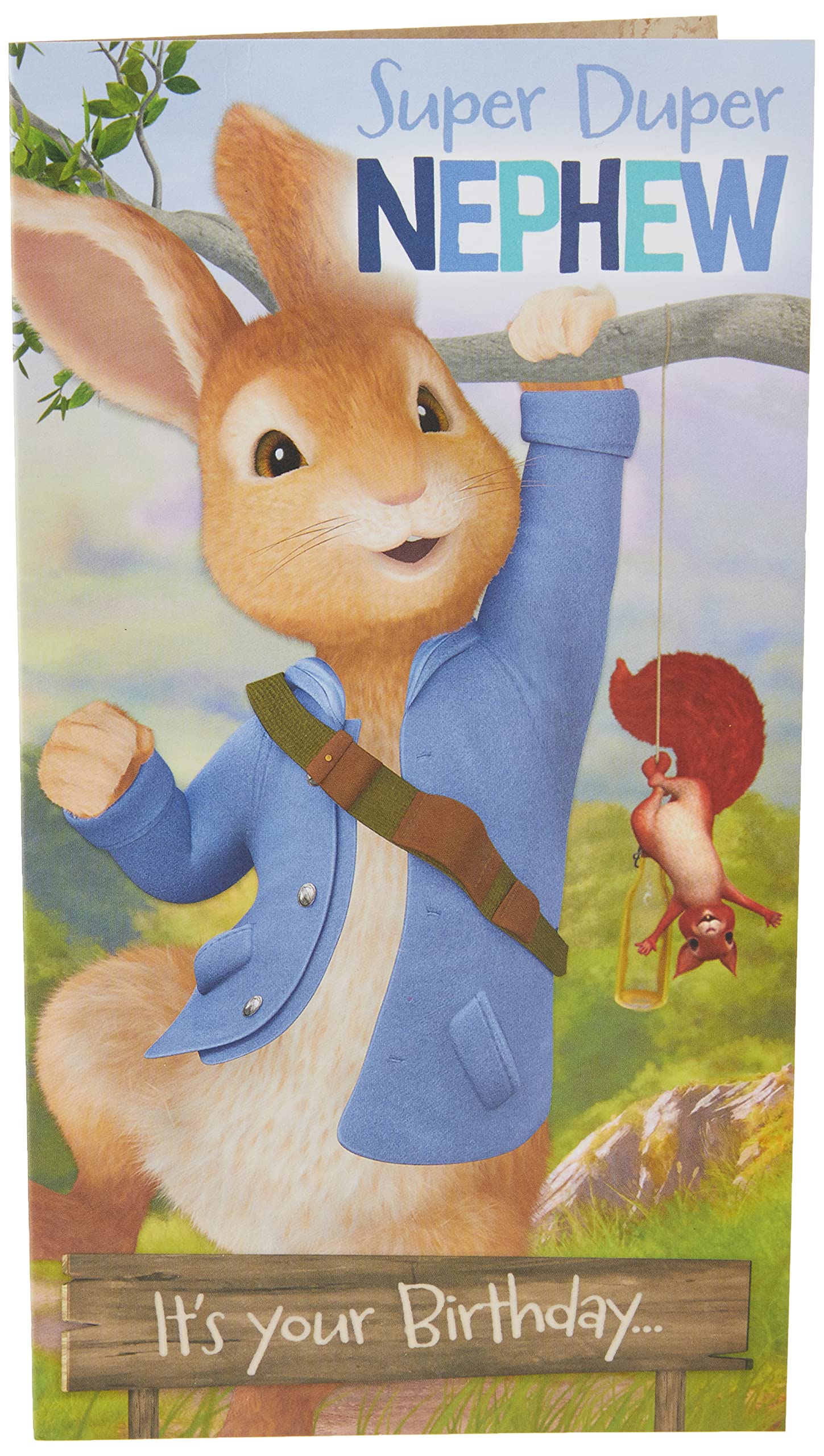 PeterRabbit Nephew Greetings Card