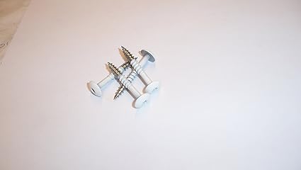 Fassadenschrauben / Fassadenplattenschrauben 100 Stück 4,8 x 38 mm, V2A Edelstahl mit T20 Antrieb, weiß (ähnlich RAL 9010), F