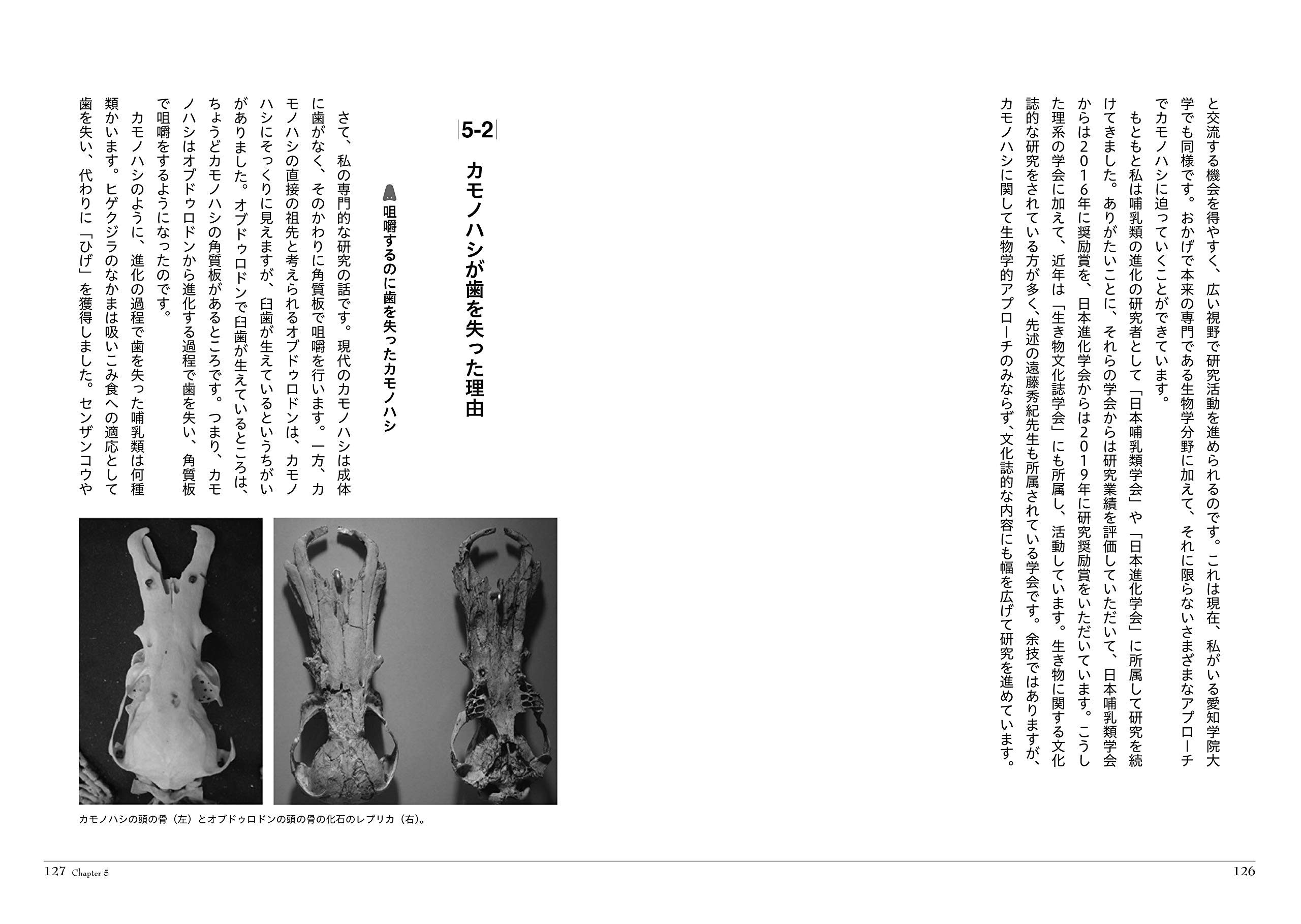 カモノハシの博物誌 ふしぎな哺乳類の進化と発見の物語 生物ミステリー 浅原 正和 本 通販 Amazon
