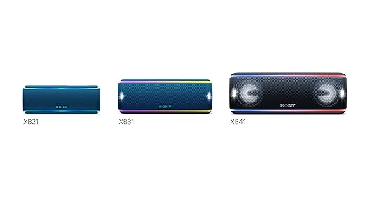 sony srs xb31 portable wireless speaker